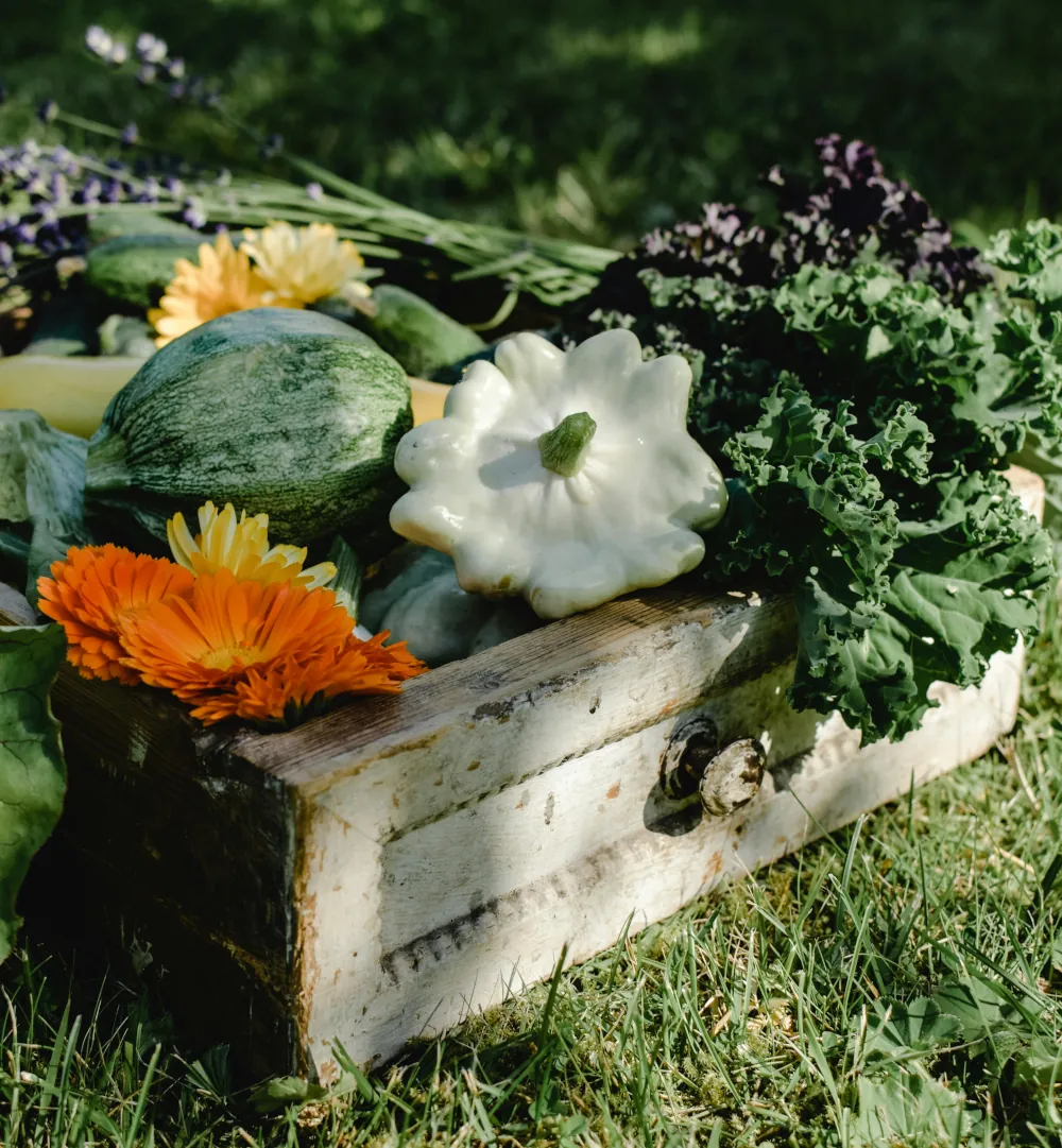 Fresh vegetable boxes